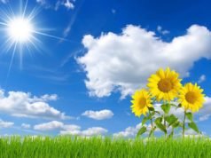 14 lời khuyên vàng dành cho cuộc sống