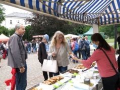 Người Việt tham gia sự kiện Živé Teplice lần thứ 5