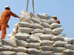 Cơ hội mở rộng cho gạo Việt nam tại EU