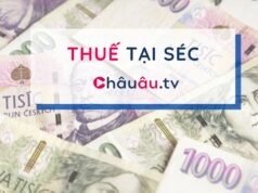 10 ĐIỀU CẦN BIẾT VỀ THUẾ PAUŠÁL