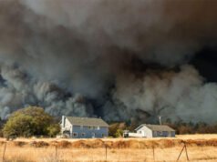 Hít phải khói từ cháy rừng làm ảnh hưởng nghiêm trọng đến sức khỏe!