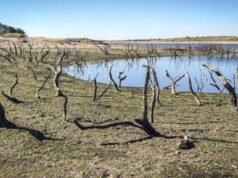 Châu Âu khó khăn chồng chất khó khăn. Tình hình hạn hán tồi tệ nhất trong hơn 500 năm qua.