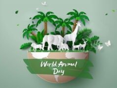 Lịch sử hình thành và ý nghĩa của ngày Động vật Thế giới