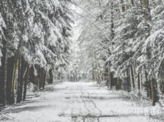 Cuối tuần này tại Séc có thể đón tuyết rơi đầu mùa