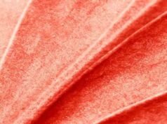 Forbes xếp hạng Dentons trong số các công ty luật hàng đầu về Tài chính Ngân hàng và Bất động sản trên thị trường Séc