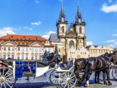Kiến nghị phục hồi xe ngựa tại Quảng trường Phố cổ Praha gây tranh cãi