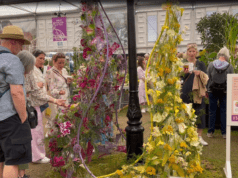 Người Việt Nam đầu tiên giành giải thưởng triển lãm hoa danh giá nhất thế giới Chelsea Flower Show 2023 tại Anh