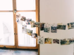 Cộng đồng người Việt tại Séc truyền bá văn hóa Việt Nam và khám phá lịch sử gia đình