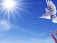 Ngày Quốc tế Hòa bình là ngày nào? Ý nghĩa và chủ đề ngày Hòa bình năm 2023