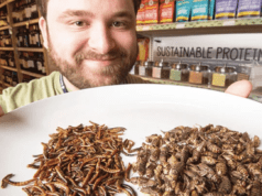 Xu hướng sử dụng thực phẩm từ côn trùng
