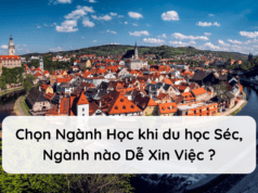 Chọn Ngành Học khi du học Séc, Ngành nào Dễ Xin Việc ?