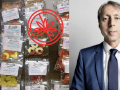 CÁC THỰC PHẨM BÁNH, KẸO CHỨA THC, CBT, HHC, ĐANG ĐƯỢC BÁN TRÀN LAN TRÊN THỊ TRƯỜNG – NGUY CƠ ẢNH HƯỞNG SỨC KHOẺ NGƯỜI TIÊU DÙNG VÀ VI PHẠM PHÁP LUẬT !