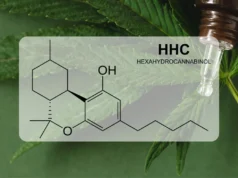 Lệnh cấm chất HHC dự kiến có hiệu lực từ ngày 6/3/2024