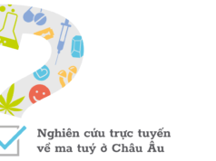 Nghiên cứu trực tuyến về ma tuý ở Châu Âu