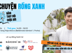 Khám phá hành trình truyền cảm hứng của Quỹ Trẻ em Blue Dragon tại Bảo tàng Náprstek