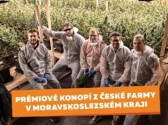 CANNIO – nhà sản xuất và phân phối về các sản phẩm từ cây gai dầu cao cấp trồng từ trang trại của Séc ở vùng Moravian-Silesian