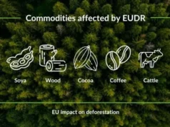 Làn sóng kêu gọi châu Âu trì hoãn lệnh cấm sản phẩm nông nghiệp liên quan phá rừng
