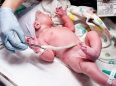 Số lượng phụ nữ sử dụng quyền được sinh con bí mật tương đương với số lượng người sử dụng babybox