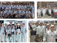 Châu Âu Mở Rộng Thị Trường Lao Động Lành Nghề Việt Nam: Đào Tạo Chuyên Sâu & Lương Bổng Hấp Dẫn