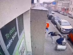 Vụ trộm cắp và tấn công dã man chủ cửa hàng ở Písek gây phẫn nộ