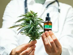 Từ ngày 1/4/2025 tất cả bác sĩ tại Séc được phép kê đơn cần sa y tế