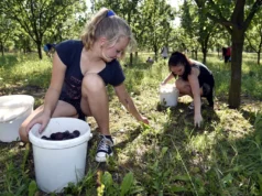 Từ tháng 6, thanh thiếu niên từ 14 tuổi đã có thể đi làm thêm trong kỳ nghỉ hè – nhưng với nhiều điều kiện nghiêm ngặt