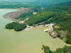 EU và Pháp cam kết đồng hành cùng Việt Nam thúc đẩy chuyển dịch năng lượng xanh