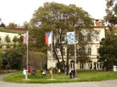 Giáo dục quốc tế và tiếng mẹ đẻ: Nền tảng vững chắc cho tương lai con trẻ tại Park Lane International School