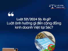 Luật đã thay đổi. Nhưng chúng ta đã thực sự thay đổi chưa?