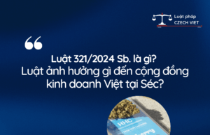 Luật đã thay đổi. Nhưng chúng ta đã thực sự thay đổi chưa?